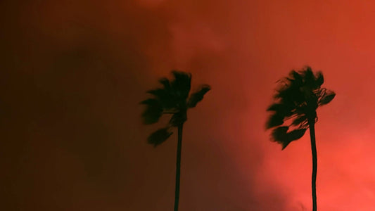 "Smoldering Dawn" | Amanda Gorman