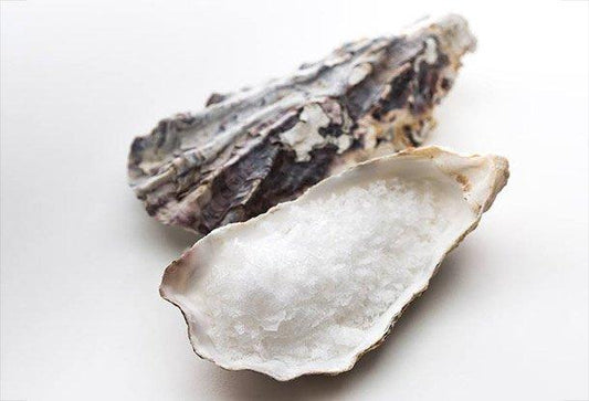 Salt of the Earth